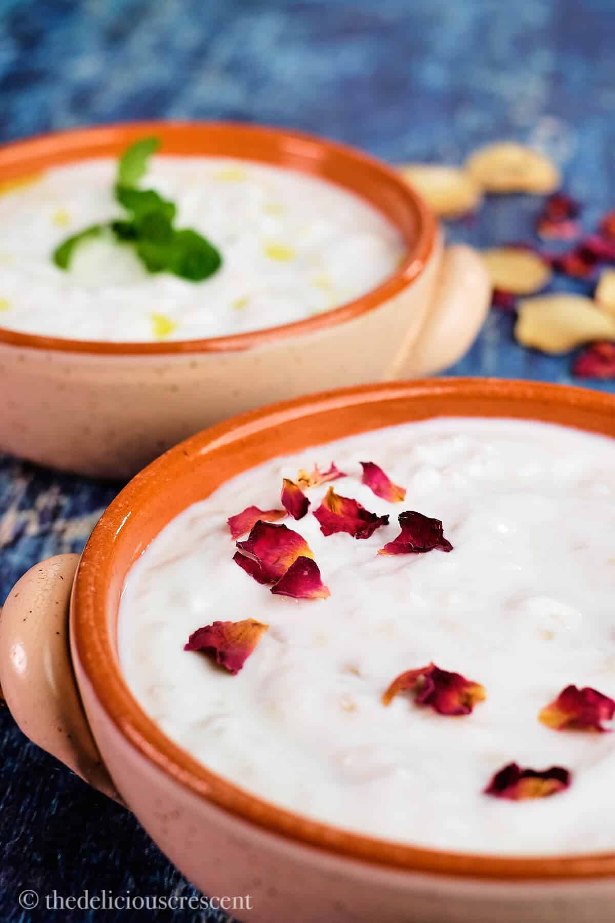 Front view of shallot yogurt dip in a bowl.
