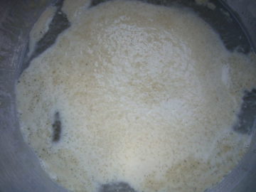 Dry yeast foamed up on warm water.