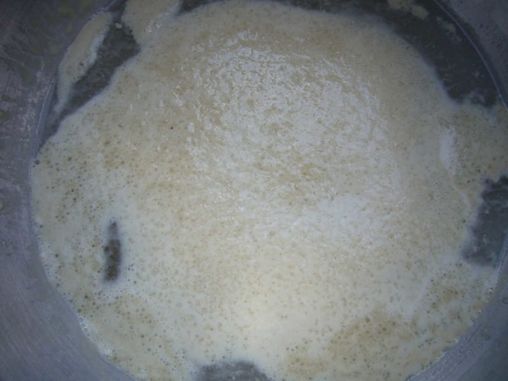 Dry yeast foamed up on warm water.