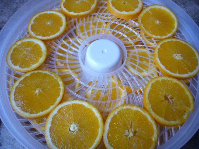 Orange slices arranged on trays inside a dehdrator.