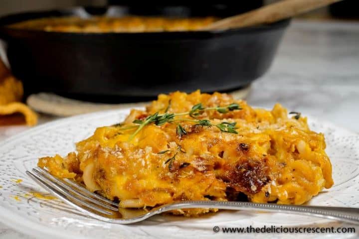 This healthy mac and cheese, is made with protein rich lentil pasta and tastes so rich, creamy and cheesy. An ultimate comfort food that will please both kids and adults. You will not even know how cleverly this gluten-free homemade recipe sneaks in vegetables (butternut squash and caramelized onions), while elevating the flavor and nutrition benefits! Makes a great healthy dinner for weeknights. #macandcheese #butternutsquashrecipes #healthyrecipes Close up view of a serving of mac and cheese on a white plate with a fork.