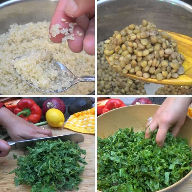 Lentils, quinoa and kale being prepared.