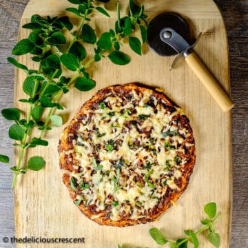 A variety of delicious pizza recipes.