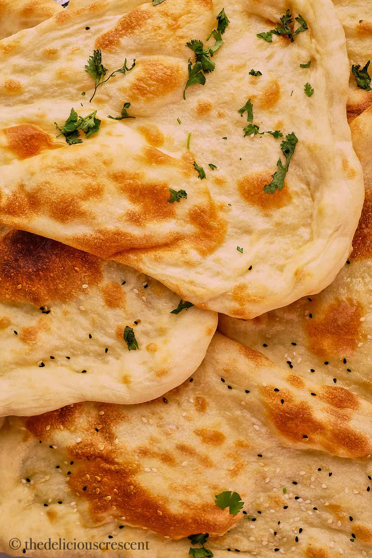 Close up view of Indian flatbreads.