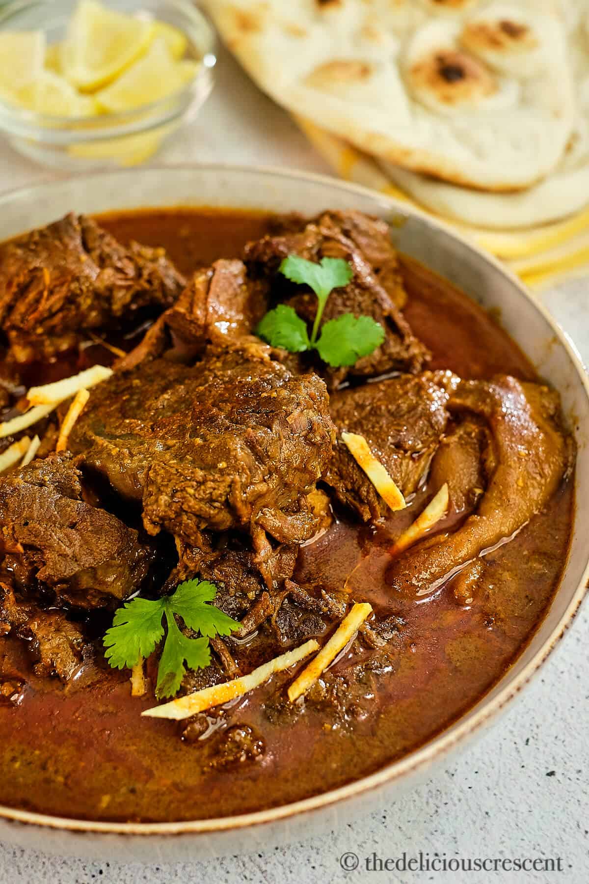 A bowl full of Indian beef shank stew.