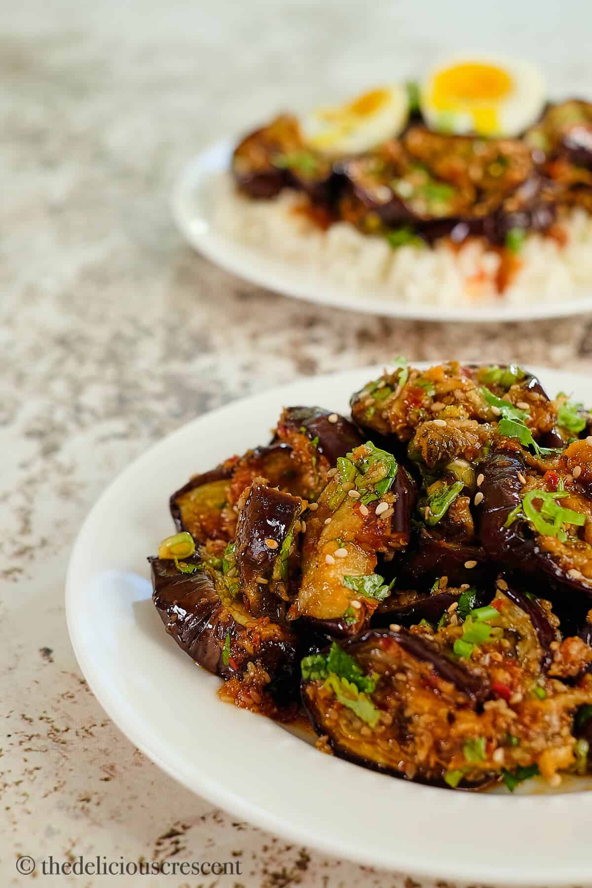 Eggplant roasted in Asian style and served.
