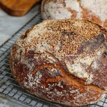 Close view of no-knead whole wheat bread with a crackly crust